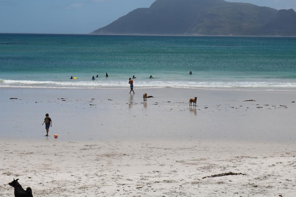 Goose Green Lodge Noordhoek Dış mekan fotoğraf